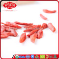 Ningxia orgnic goji doux goji baies importation baies de goji augmenter le système cardiocasculaire